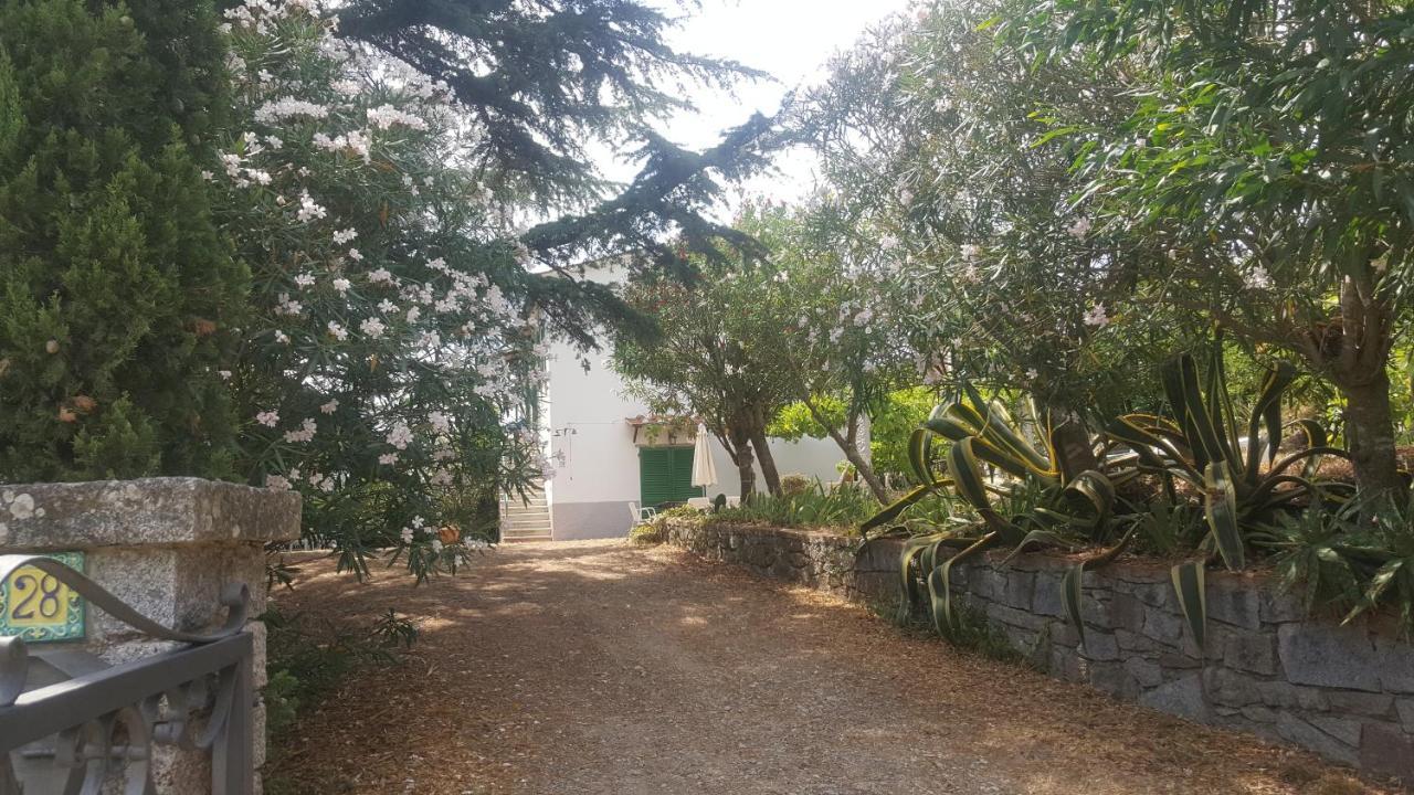 I Gechi - Marina Di Campo Villa Exterior photo